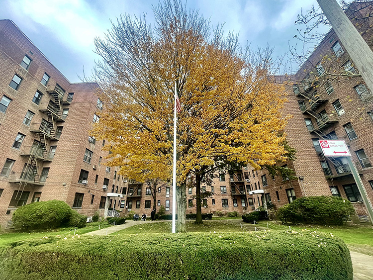 2547 W 2nd St APT 3B
